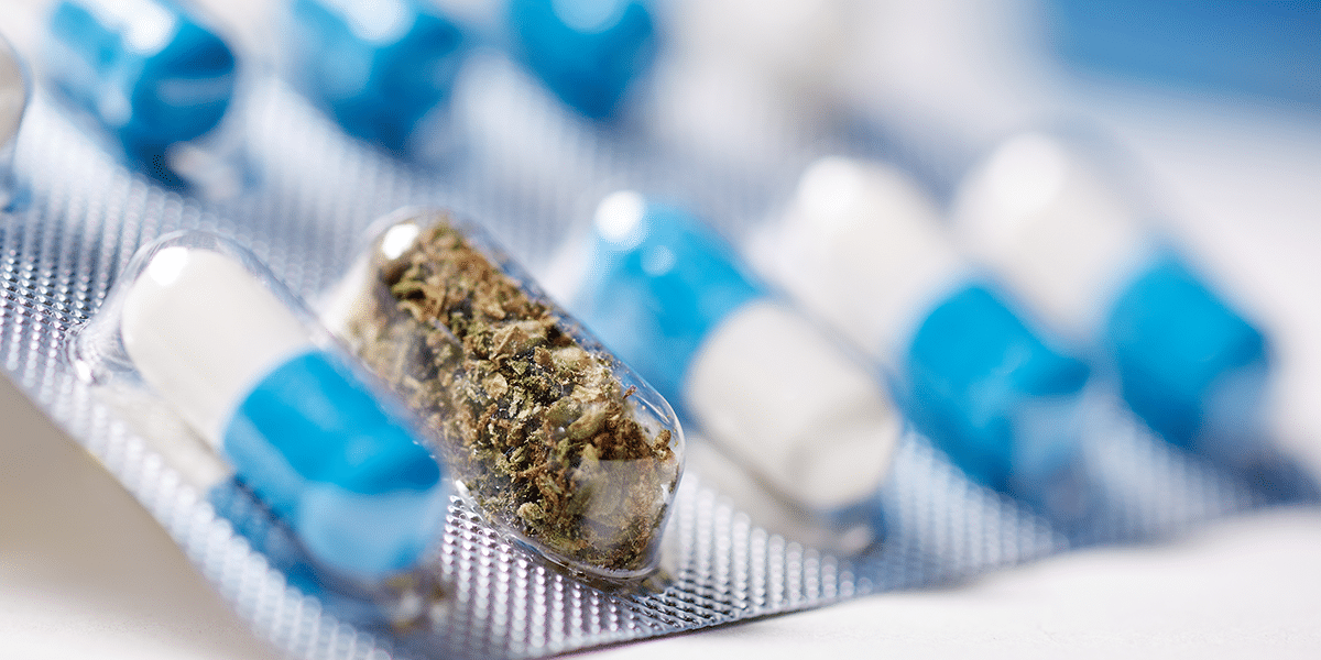 CBD Drug Interactions: What You Need To Know | Project CBD