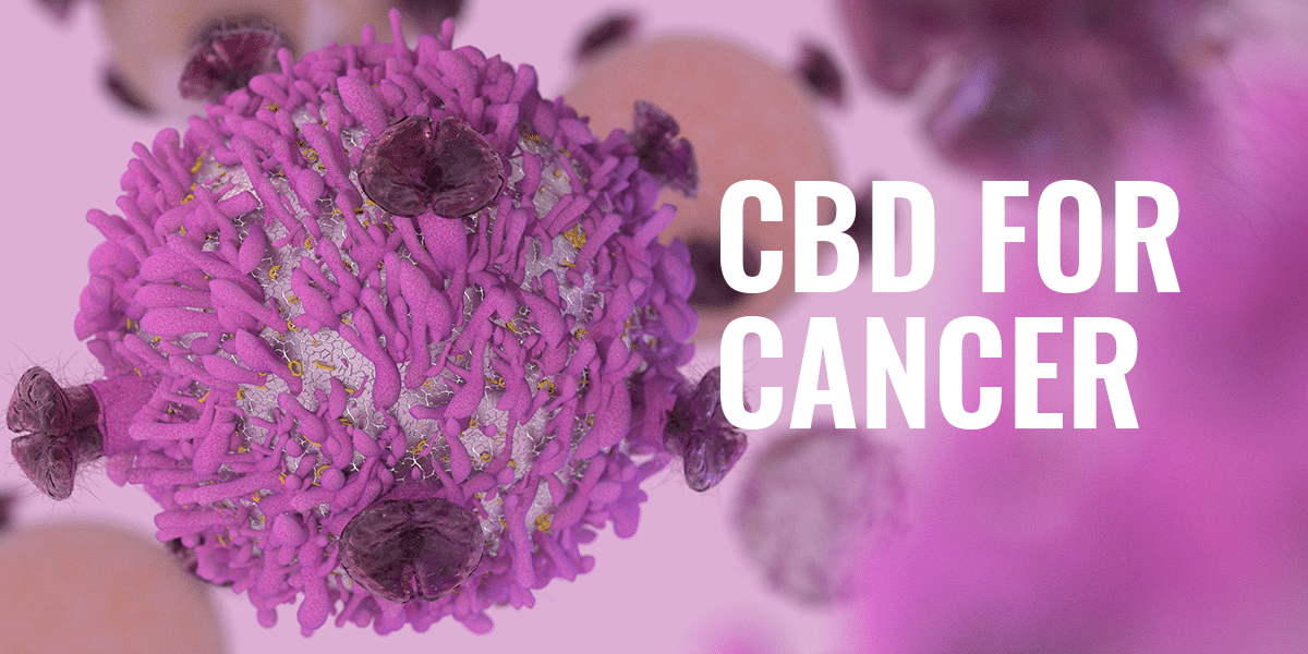 Cannabis and CBD for Cancer