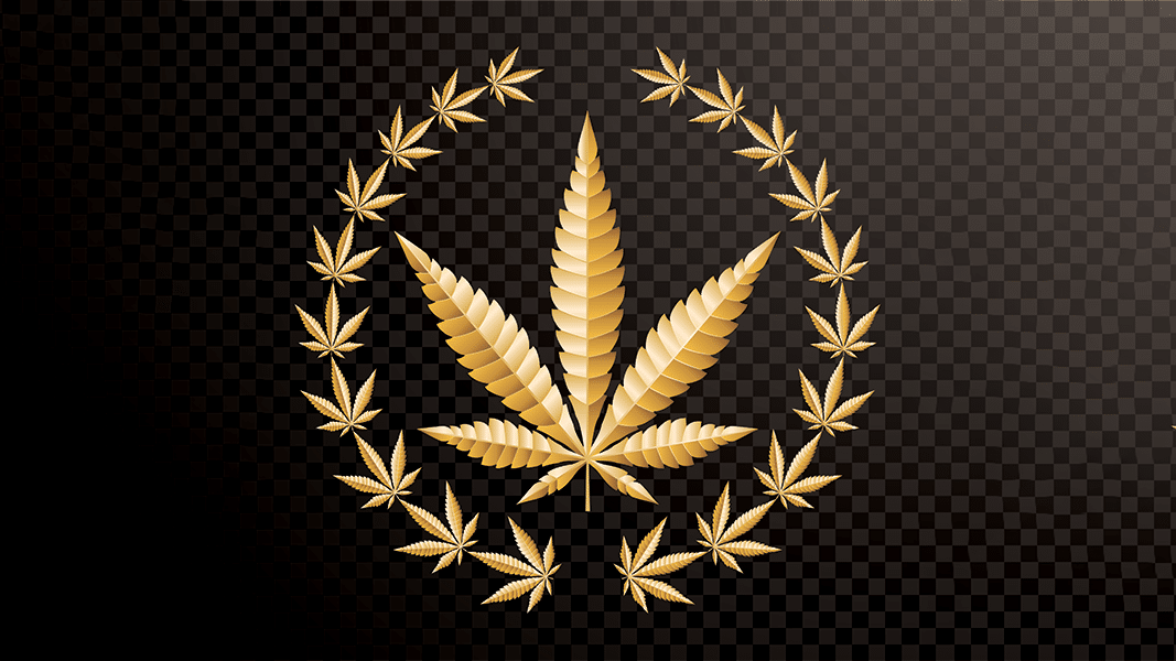 Cannabis award icon