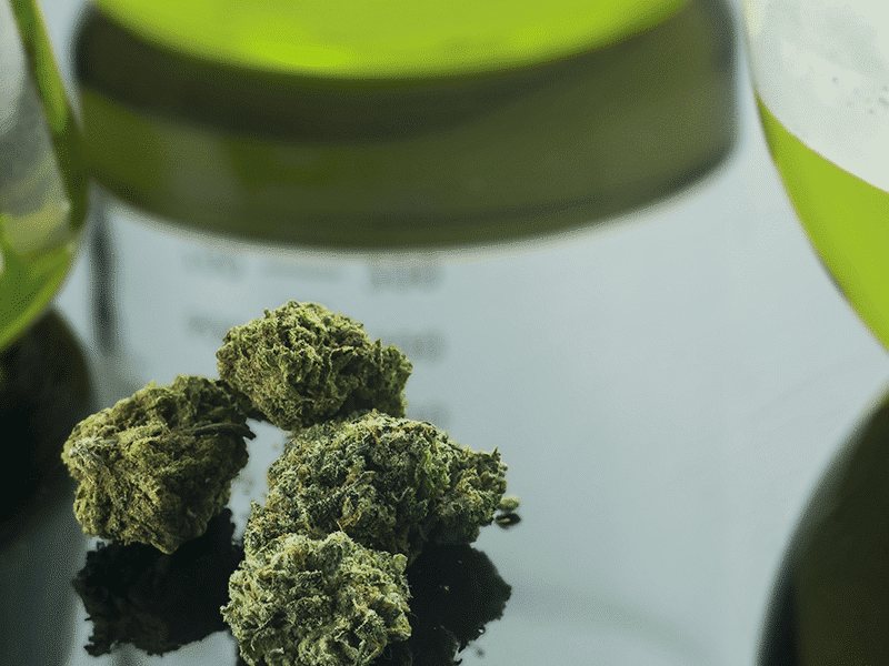 Cannabis Medicine Has Strong Roots in Science