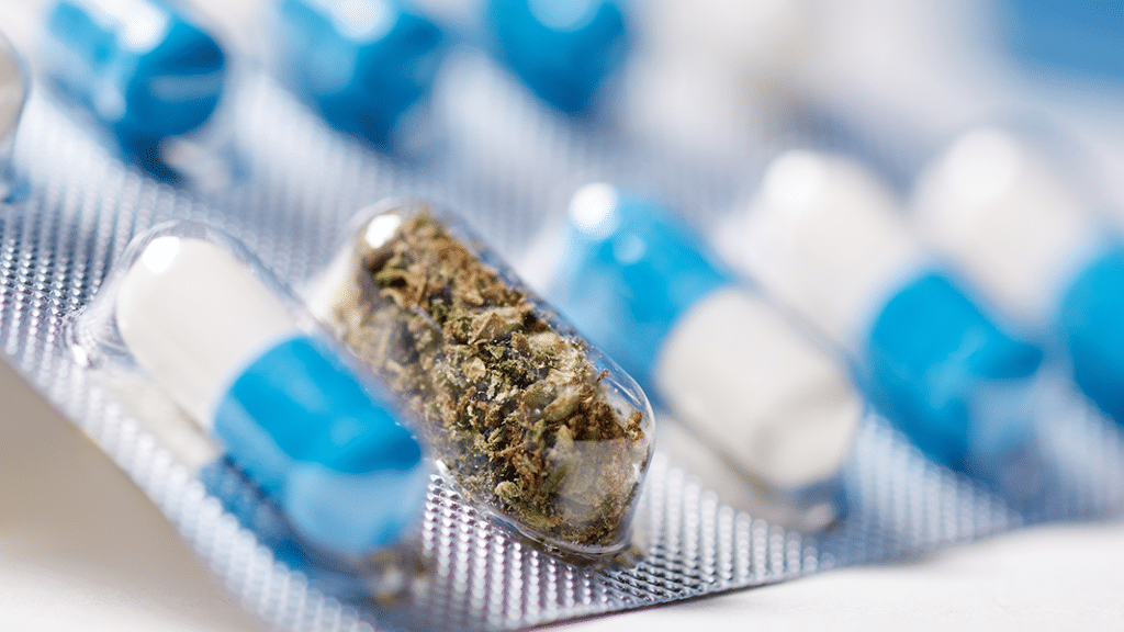 CBD Drug Interactions: What You Need To Know | Project CBD