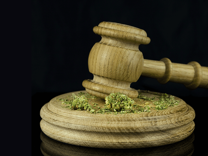Cannabis Awakening: A Matter of Life or Death