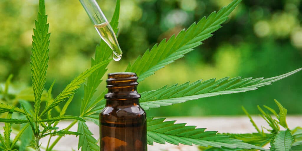 CBD Oil