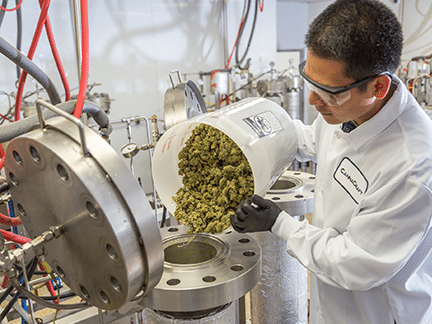 CBD oil manufacturing