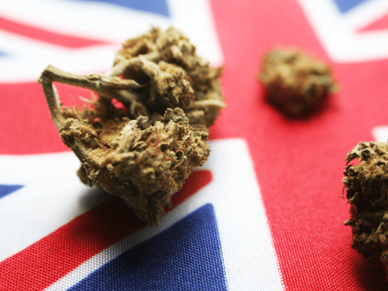 Slow Progress for Medical Cannabis in the UK
