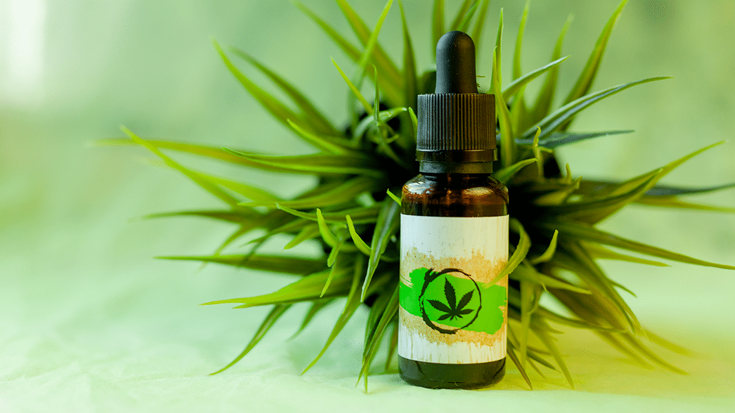Cannabis tincture on green background
