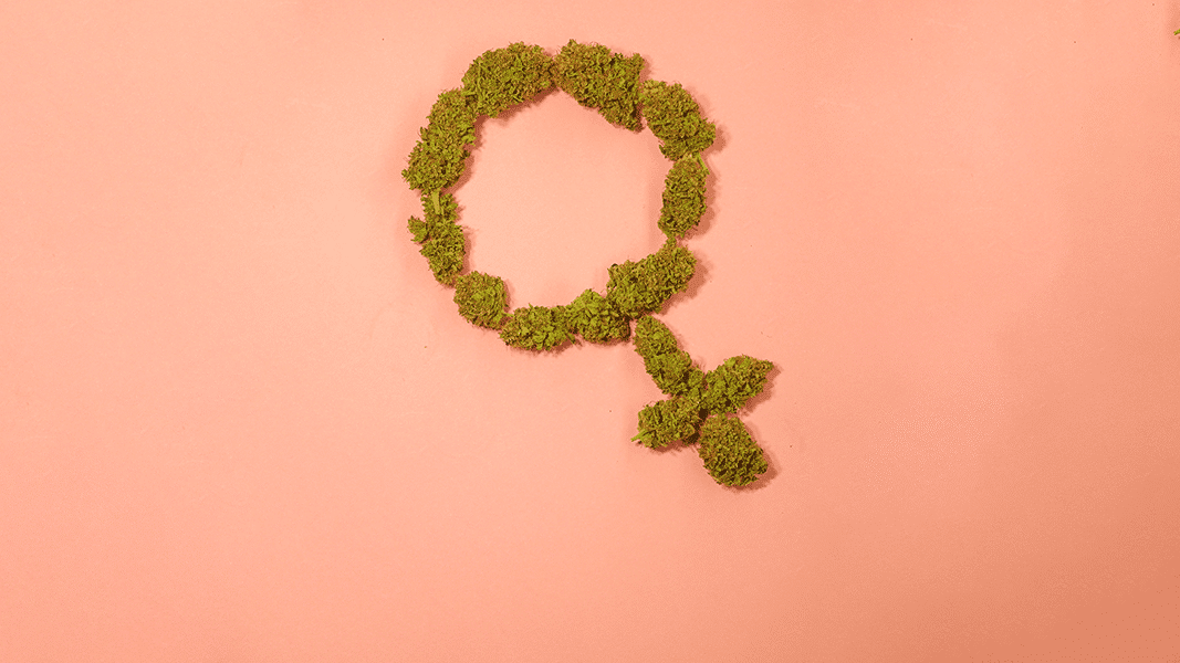 Cannabis in shape of symbol for female