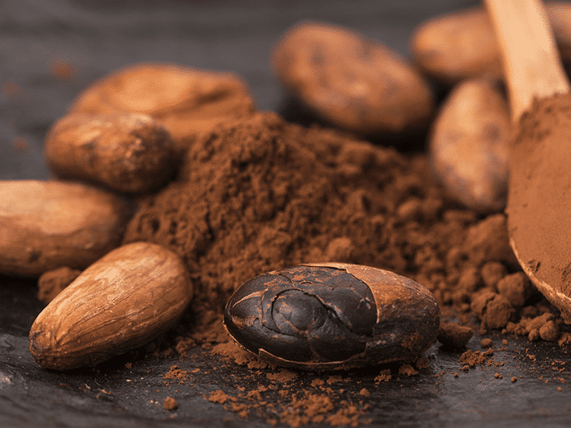 Cacao, a Traditional Plant Medicine for Modern Times