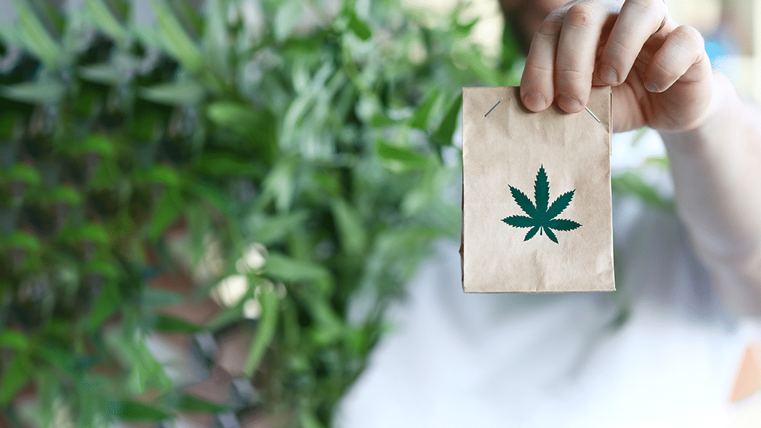 Shopping bag of cannabis