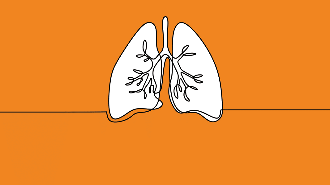 lung drawing