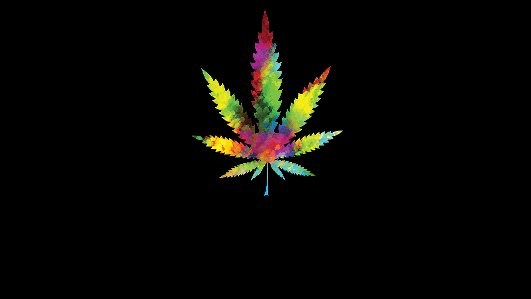 rainbow cannabis leaf on black background