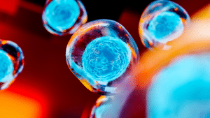 Stem cells close-up